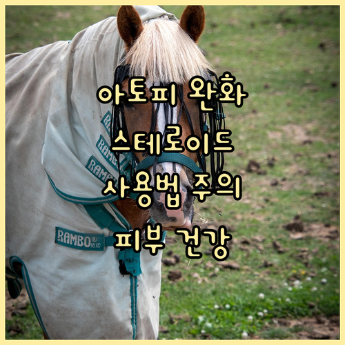 아토피 피부염 완화: 스테로이드 연고..