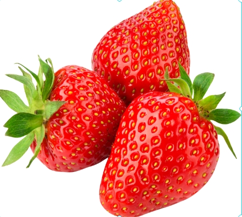 딸기 사진