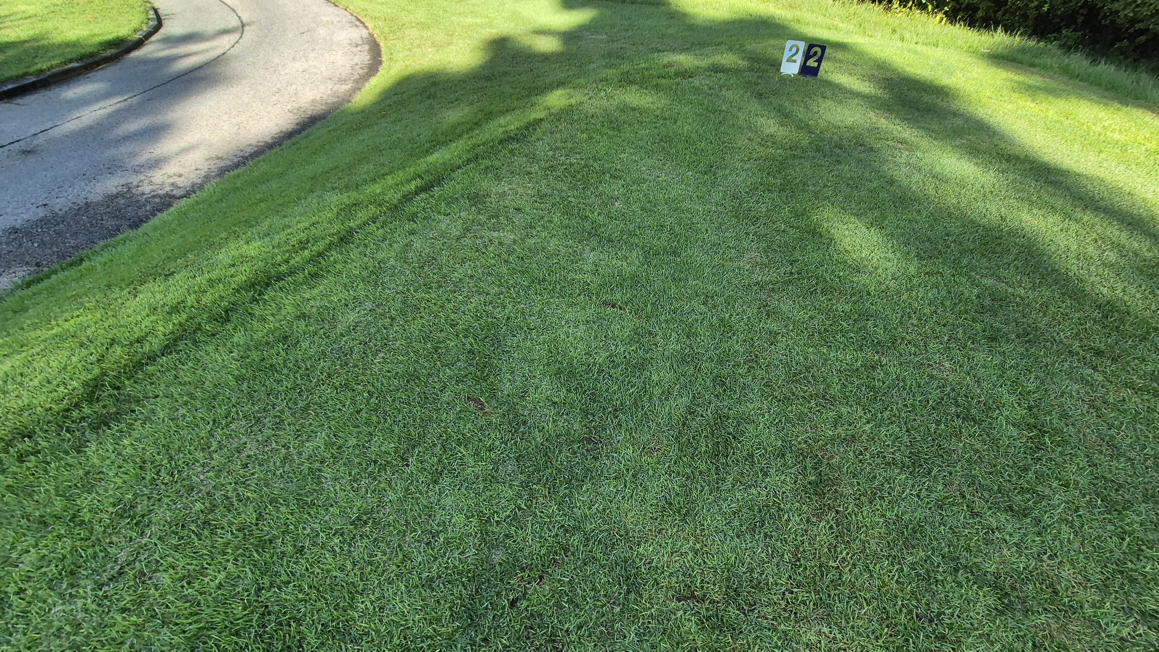 골프존카운티 천안 라운드 후기