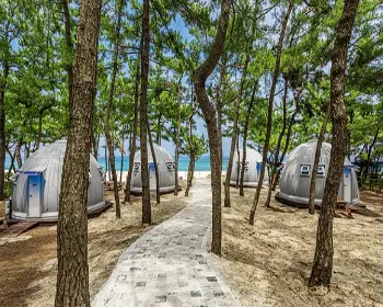 연곡 솔향기 캠핑장 글램핑_2