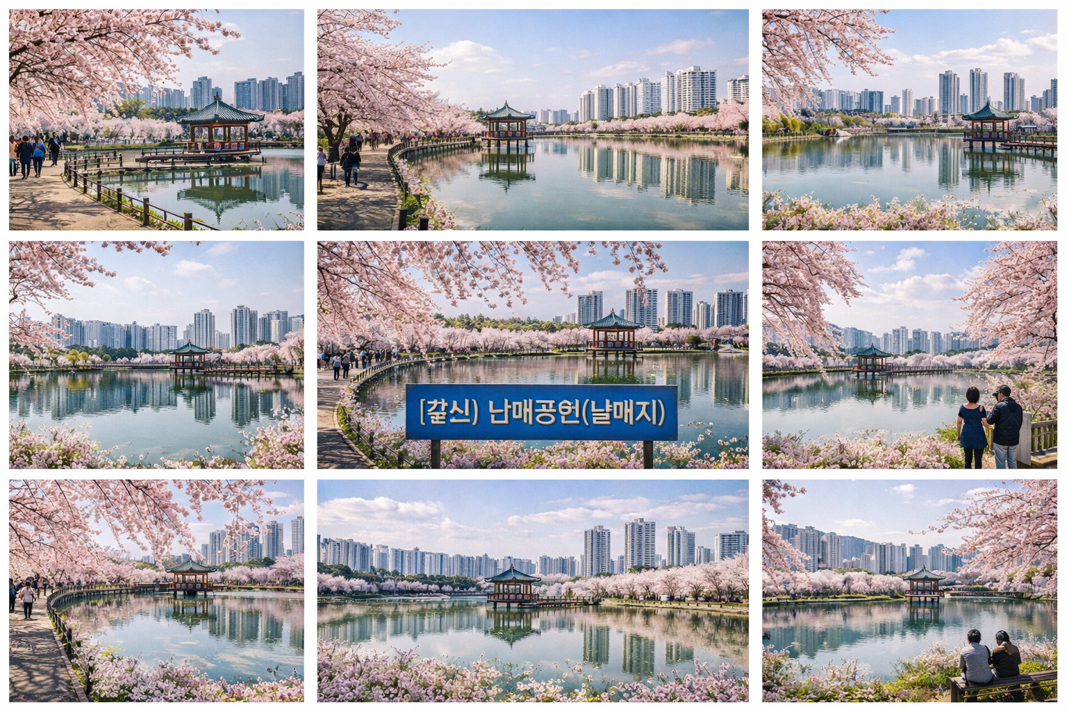 밤 산책하기 좋은 경산 야경 명소, 남매공원