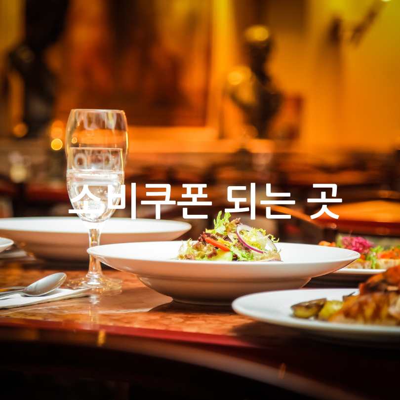 민생회복 소비쿠폰 사용처