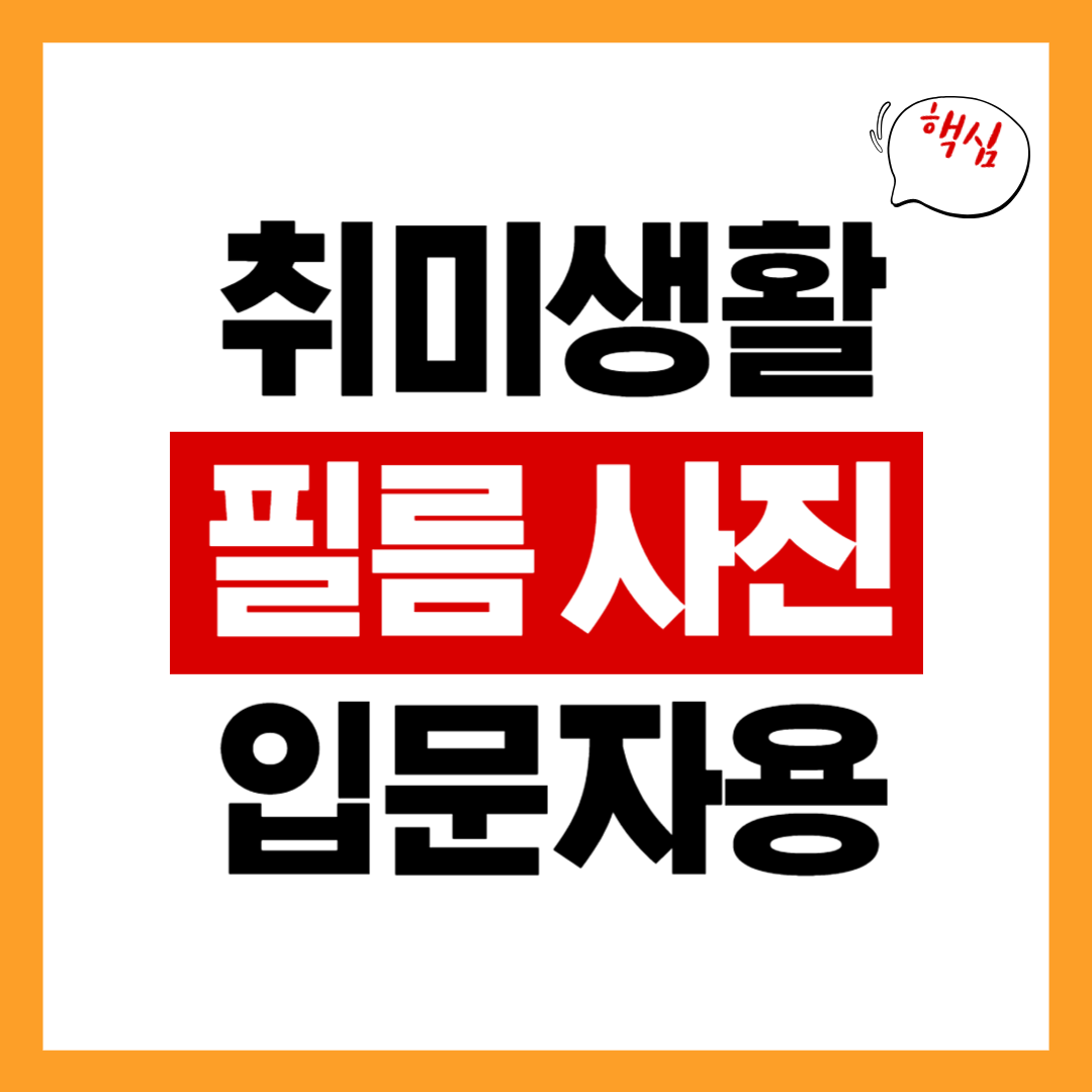 필름 카메라 입문