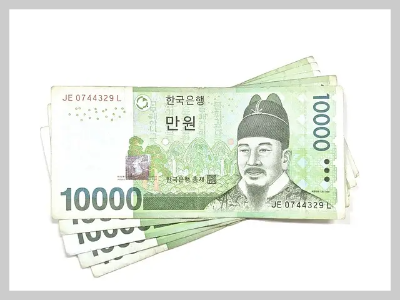 지폐들