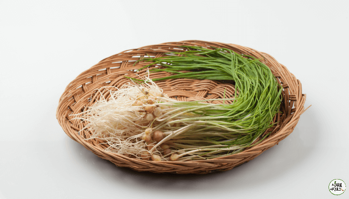 나무접시에 달래 한덩이가 담겨있다