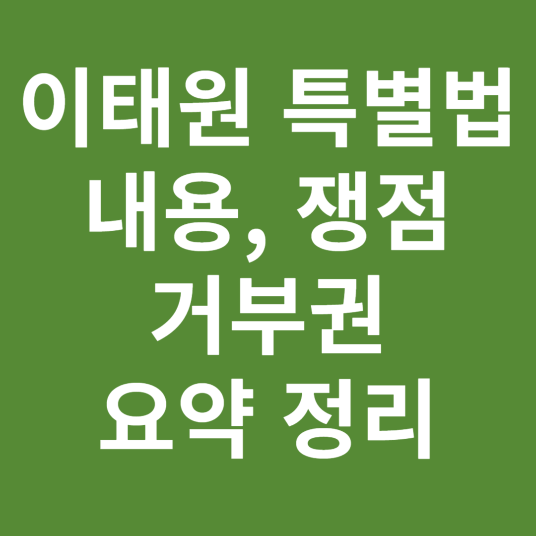 이태원 참사 특별법 내용 쟁점 거부권 요약