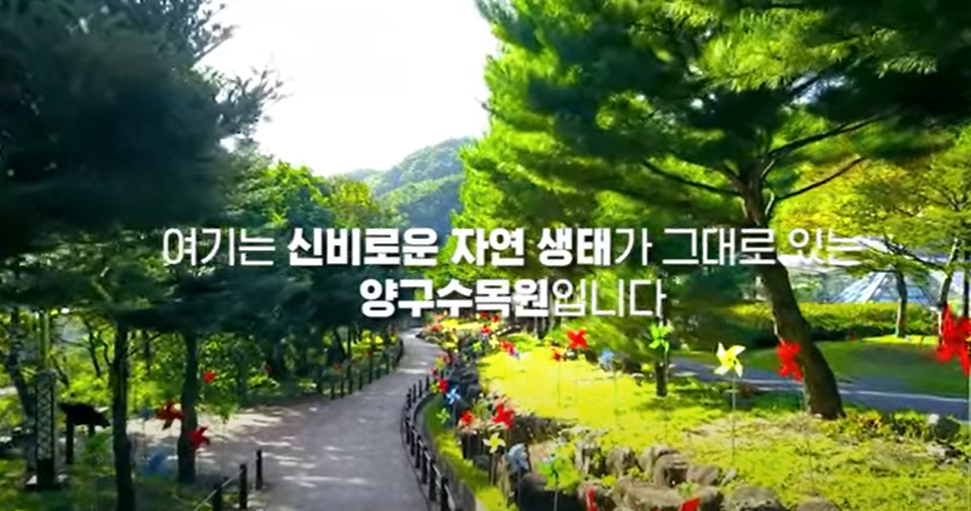 양구여행 관광