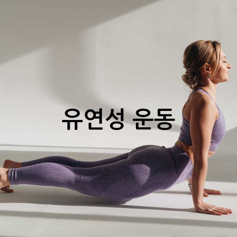 50대 중년 추천 운동