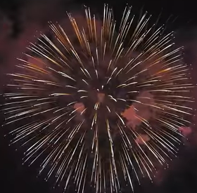 아름다운 축제의 순간들10