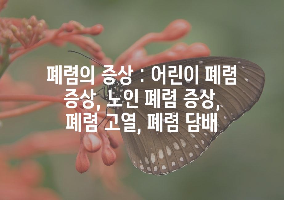 샘플 (51)