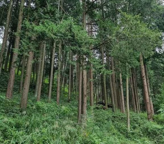 완주 가볼만한곳 베스트 10