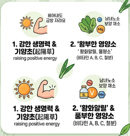 부추 효능