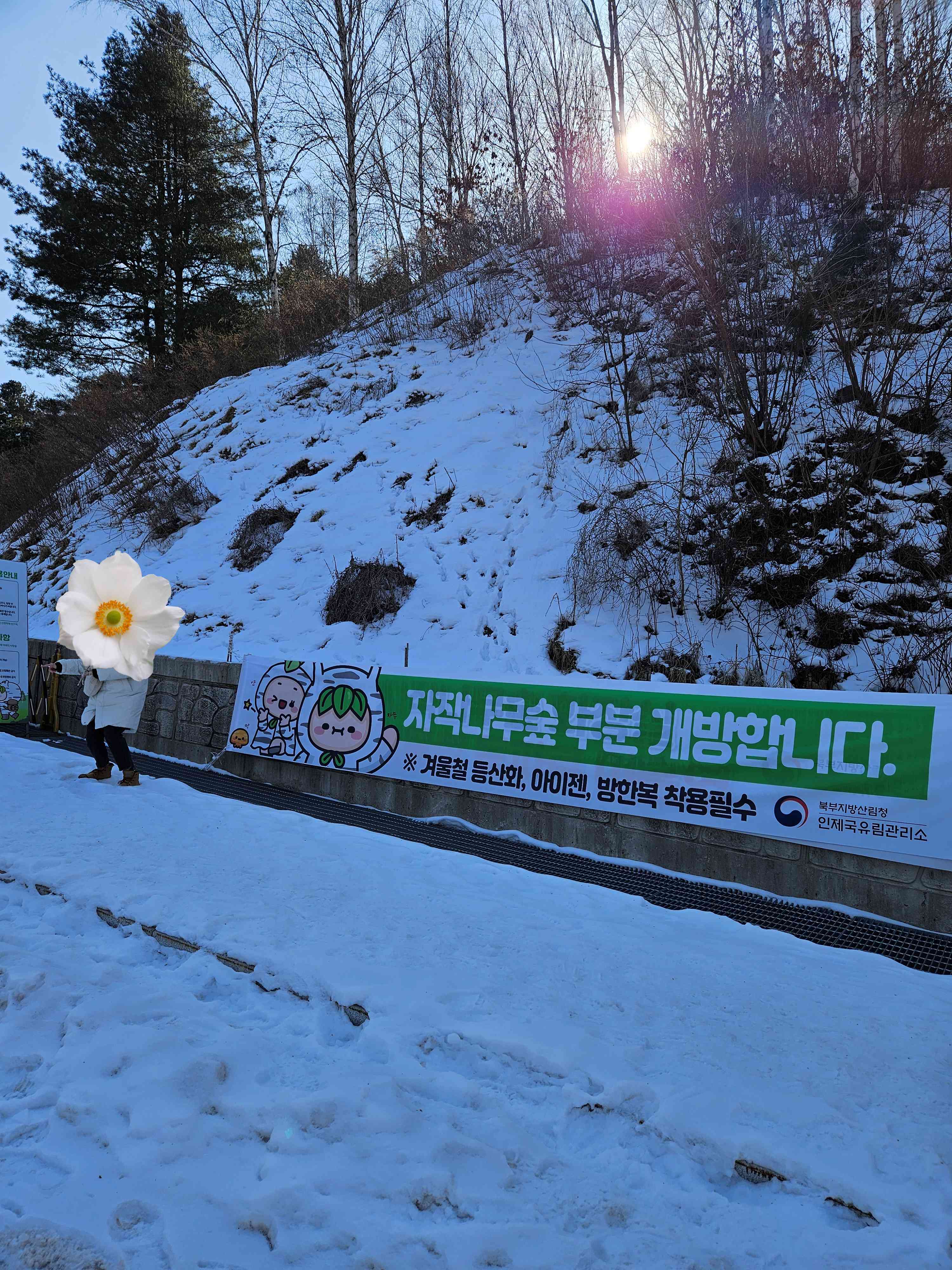 etc-image-3