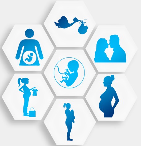 정부 출산장려 이미지