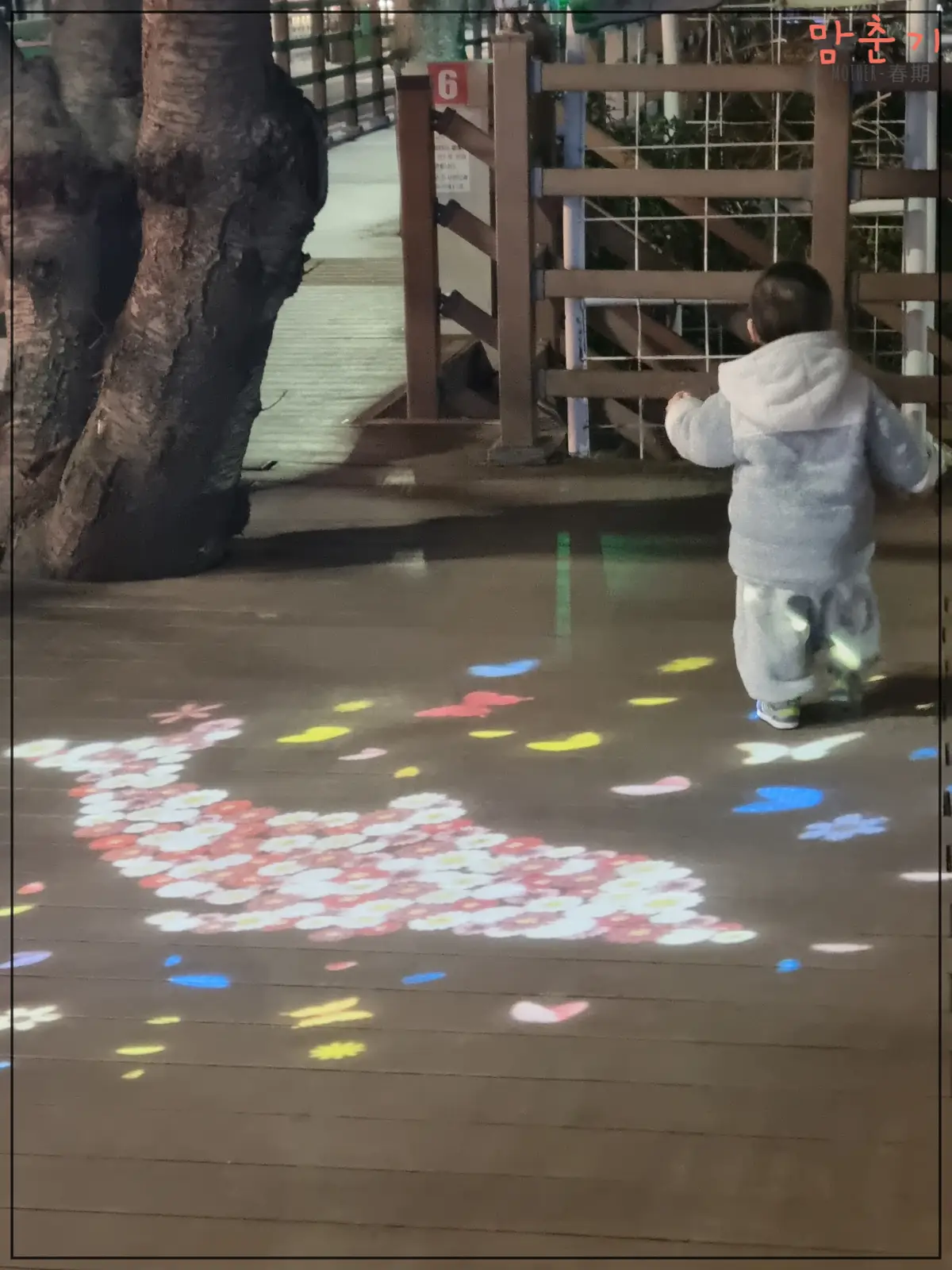 온천천-야간산책-조명에좋아하는두돌아기