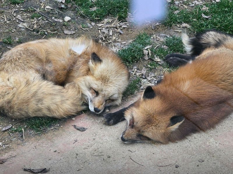 우치공원 동물원