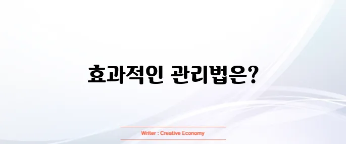 기미 없애는 방법