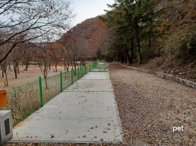 경기-연천-보물나라캠프-예약-방법-애견-동반-가격-주소-시간-후기