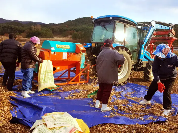 6시내고향 전북 부안 연잎장 연된장 연청국장 파는 곳 전국 택배 온라인 전화 주문 추천