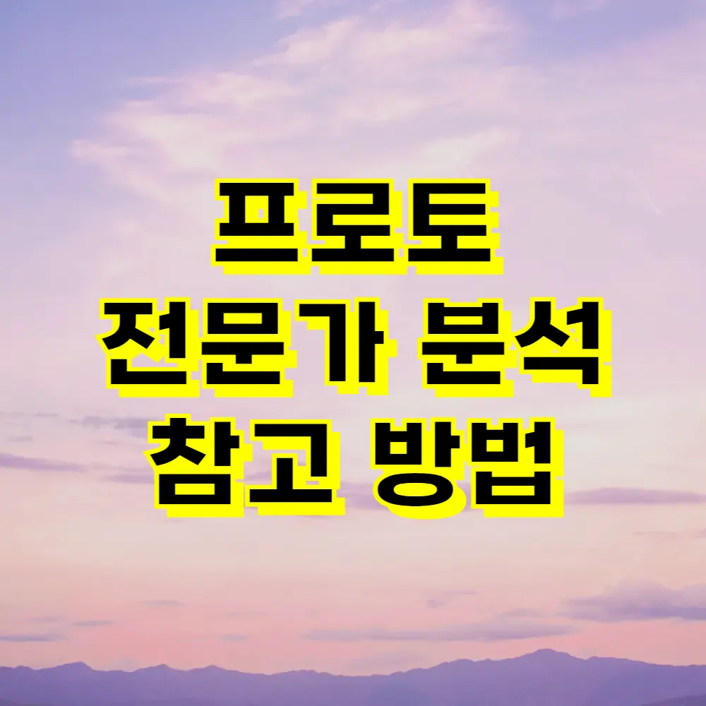 프로토 전문가 분석 참고 방법