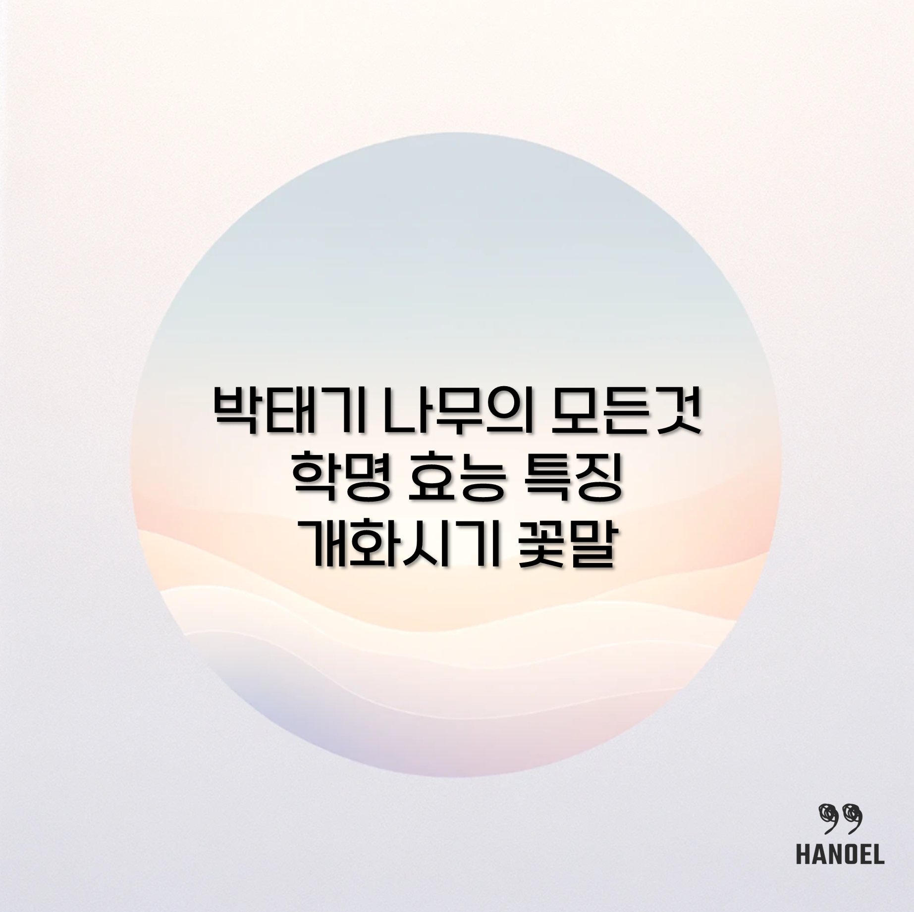 박태기 나무의 모든것 학명 효능 특징 개화시기 꽃말