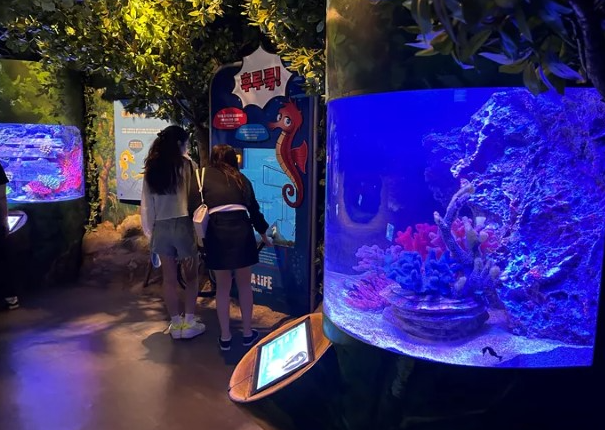 부산 아쿠아리움 최대 할인 방법 (최저가 입장료 구매)