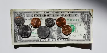 소비쿠폰 사용처