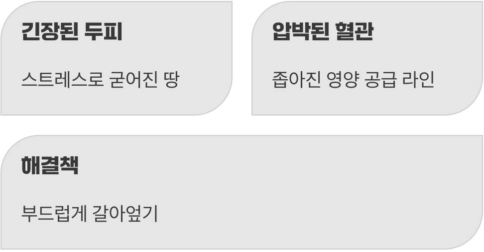 딱딱한 두피&amp;#44; 사막화의 시작