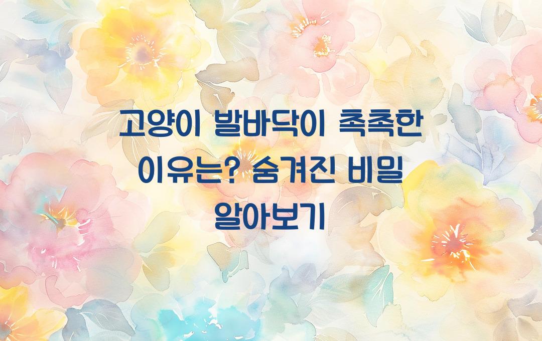 고양이 발바닥이 촉촉한 이유는?