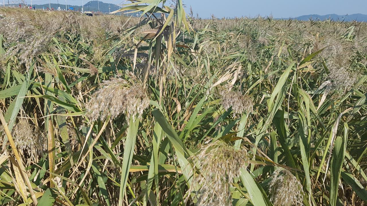 가을여행지추천