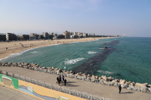 안목해변 카페거리