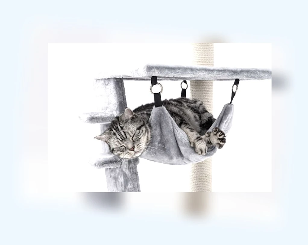 고양이 장난감_3_subsection