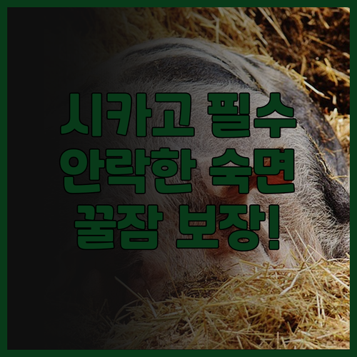 크라운 플라자 시카고 SW 버 리지 ..