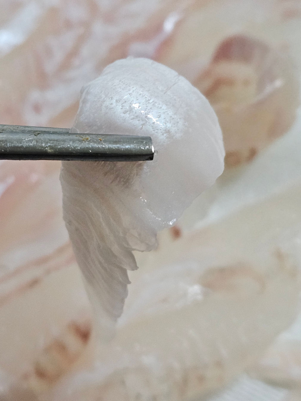 대영 수산 광어