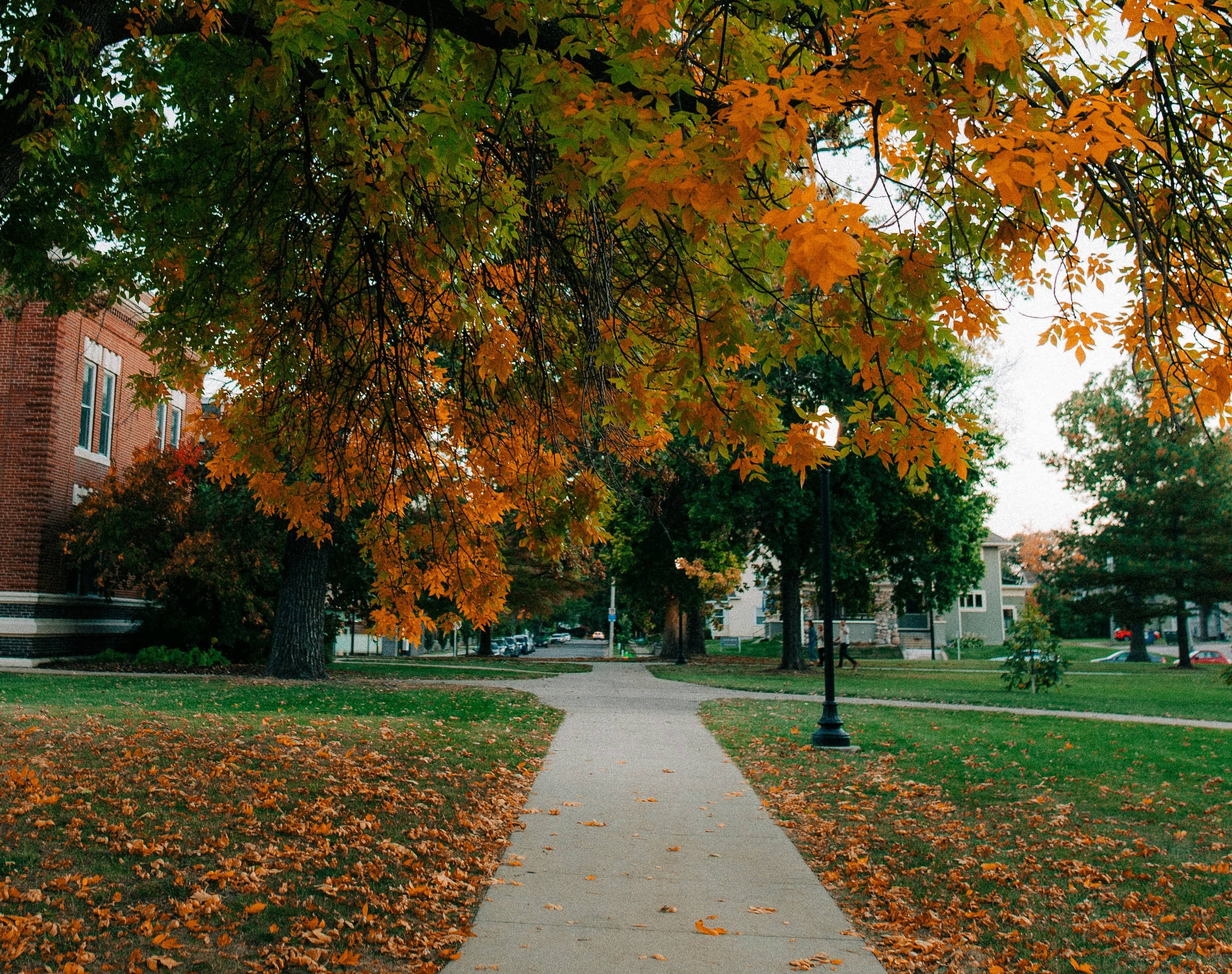 『오렌지 데이즈』