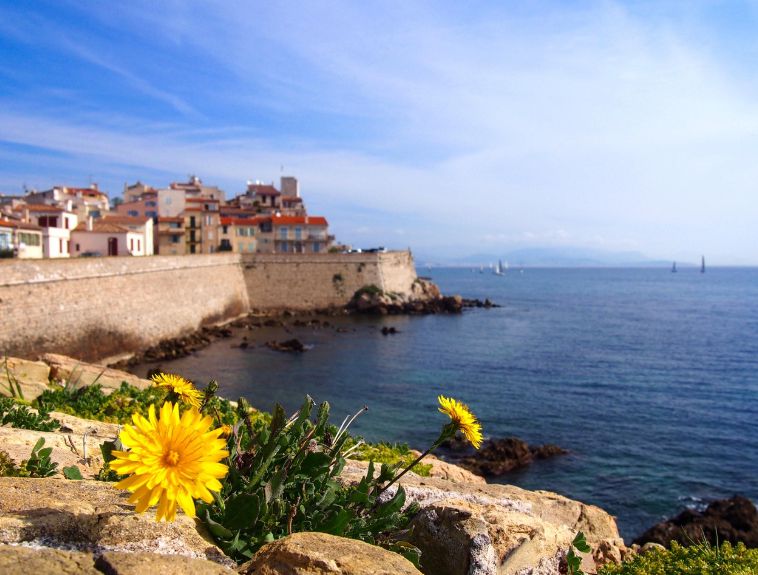 프랑스 니스 &amp; 코트다쥐르