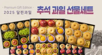 2025 추석 선물 추천 롯데 신세계 현대백화점 행사 총정리