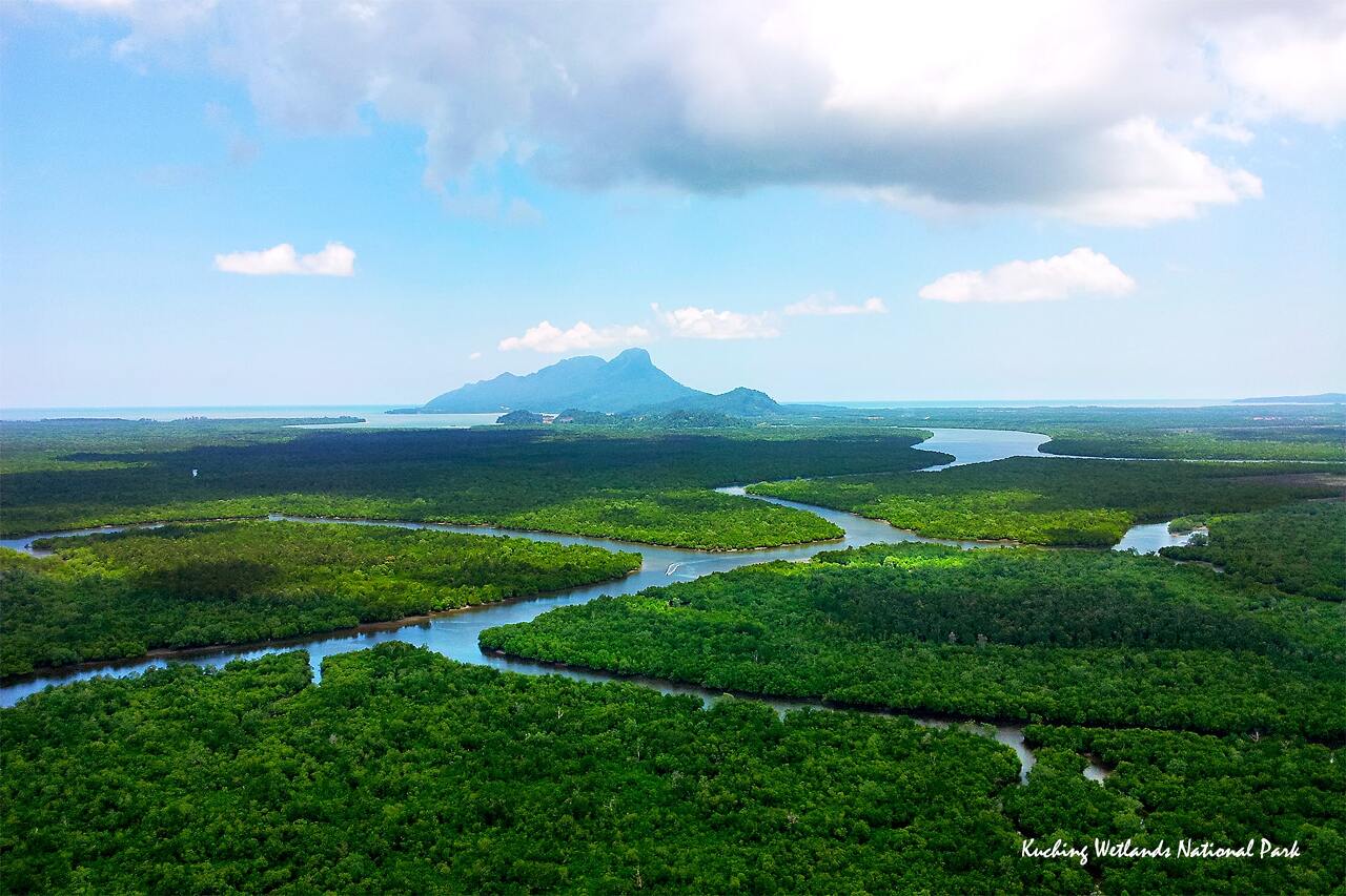 쿠칭 습지 국립공원