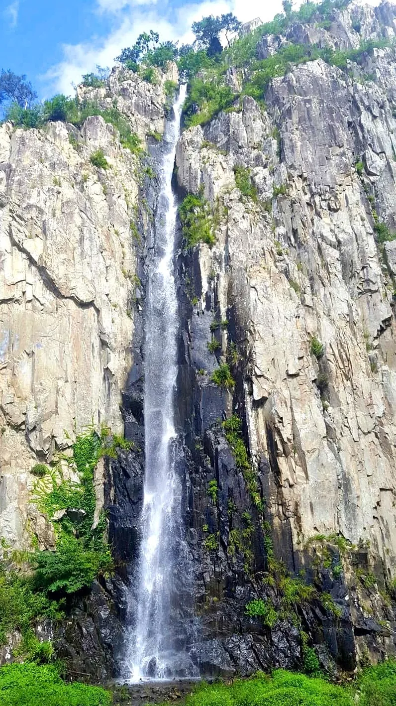 포항 동대산