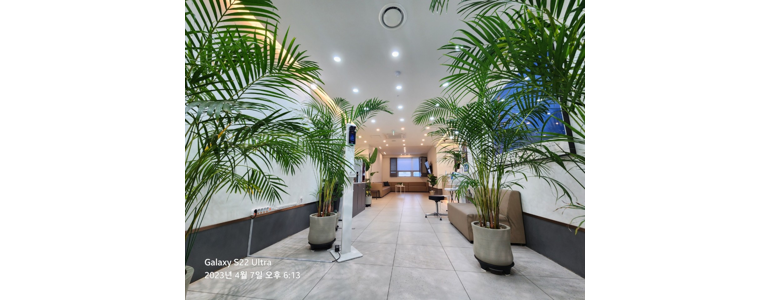 대구 동구 정형외과