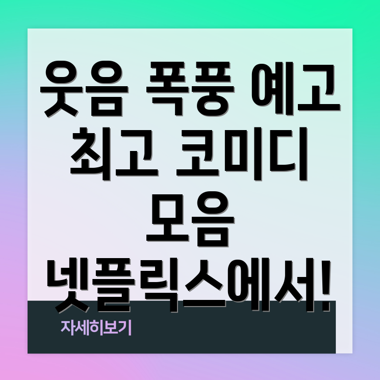 넷플릭스 코미디