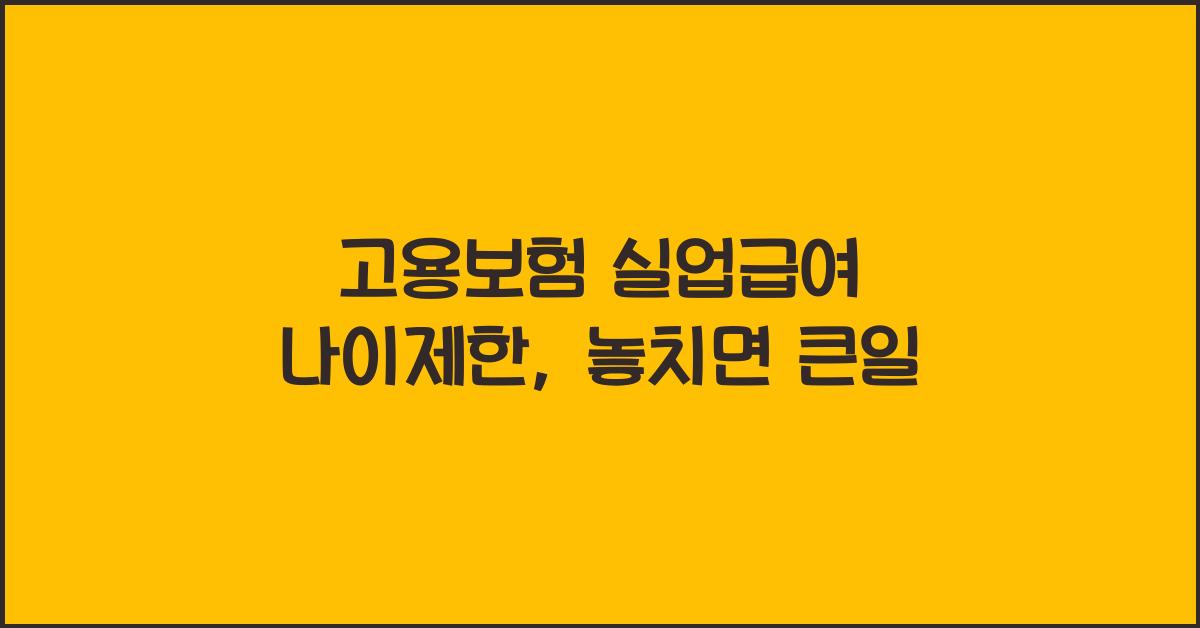 고용보험 실업급여 나이제한