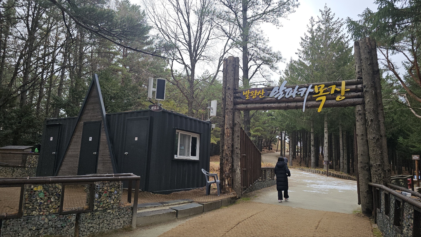 [24.11월] 아이와 평창 #1 - 모나 용평리조트 애니포레🏔️