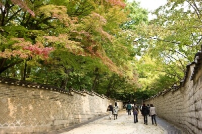 창덕궁-후원-사전-예약-필수-정보