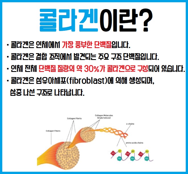 콜라겐