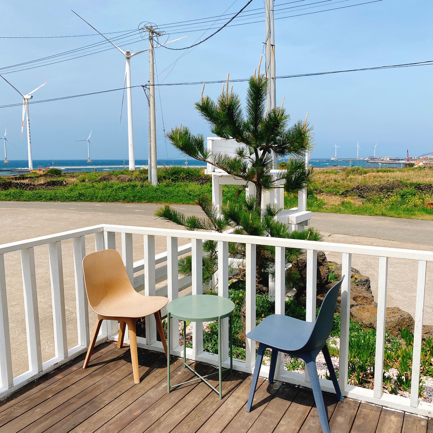 제주 한경 싱계물공원 바다목장 솜사탕 커피 그린구름 카페