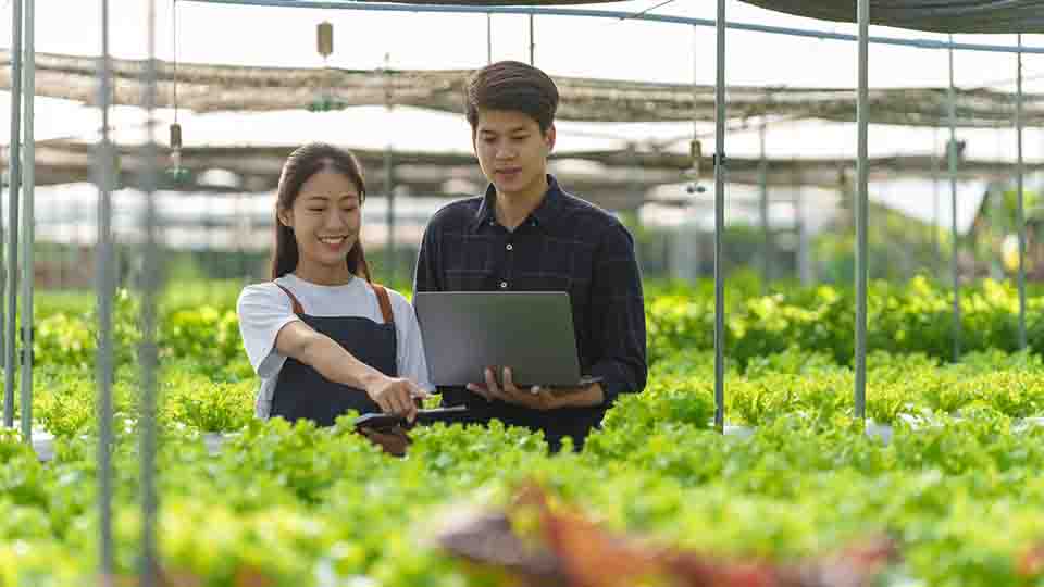전통 농업과 스마트팜의 구조적 차이 무엇이 달라졌는가?