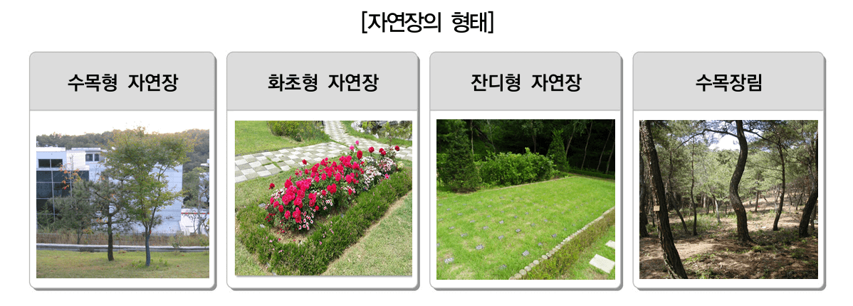자연장의 형태