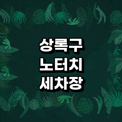 안산 상록구 노터치 세차