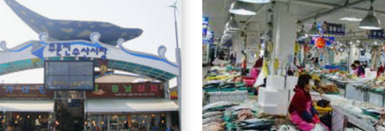 수산시장 전경1